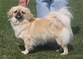 bondmoransdonna4-21-5-11.jpg